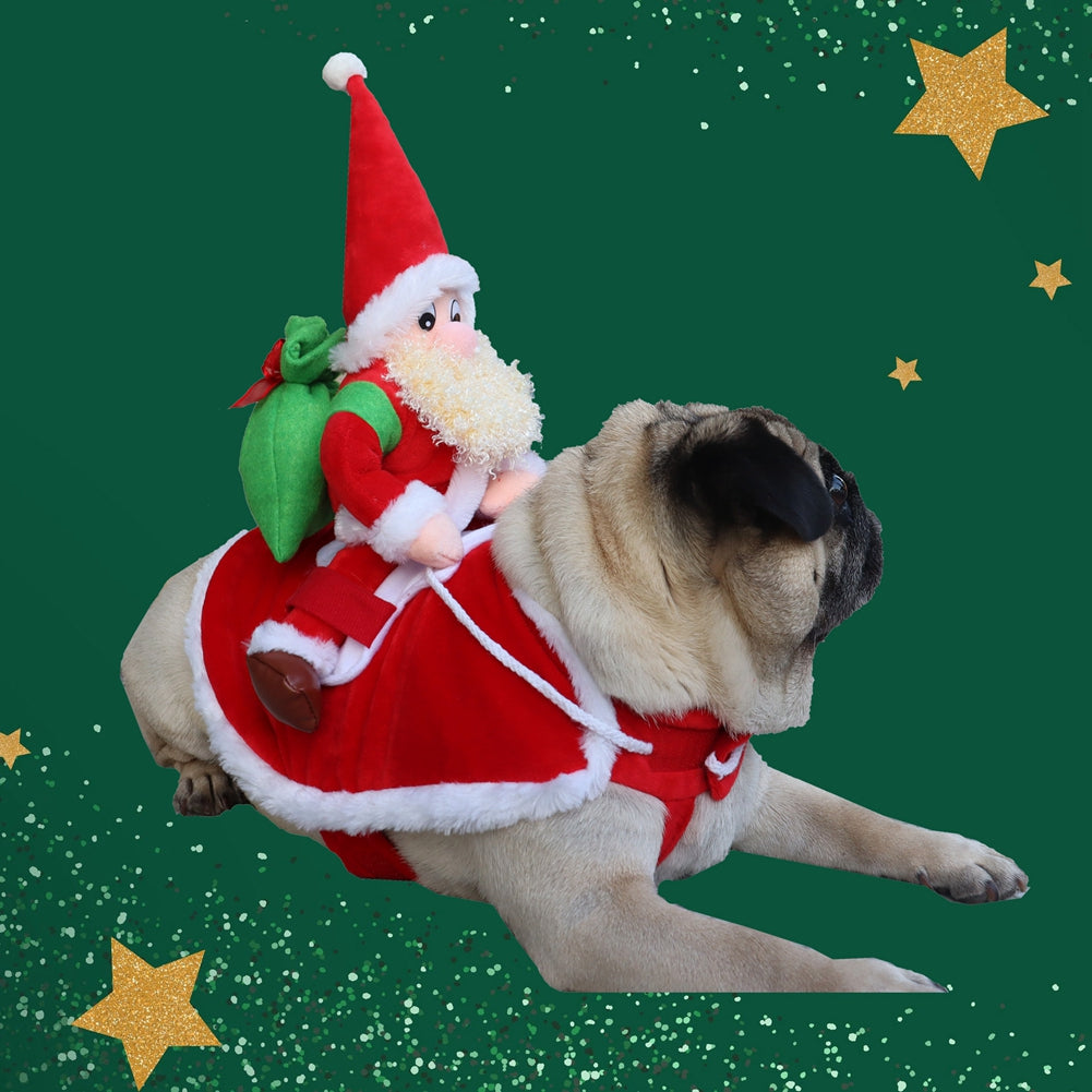 Traje Navideño Pet Glam. Combo Traje de Navidad - Zapatos.