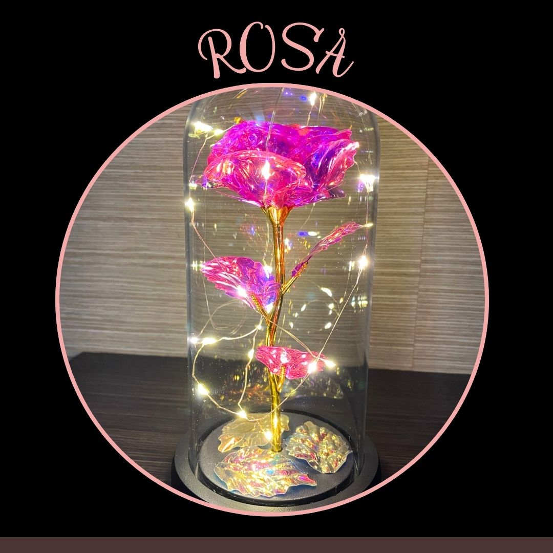 ROSA BRILLANTE ENCANTADA