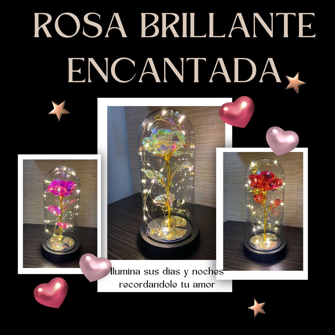 ROSA BRILLANTE ENCANTADA