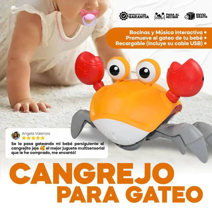 CANGREJO PARA GATEO
