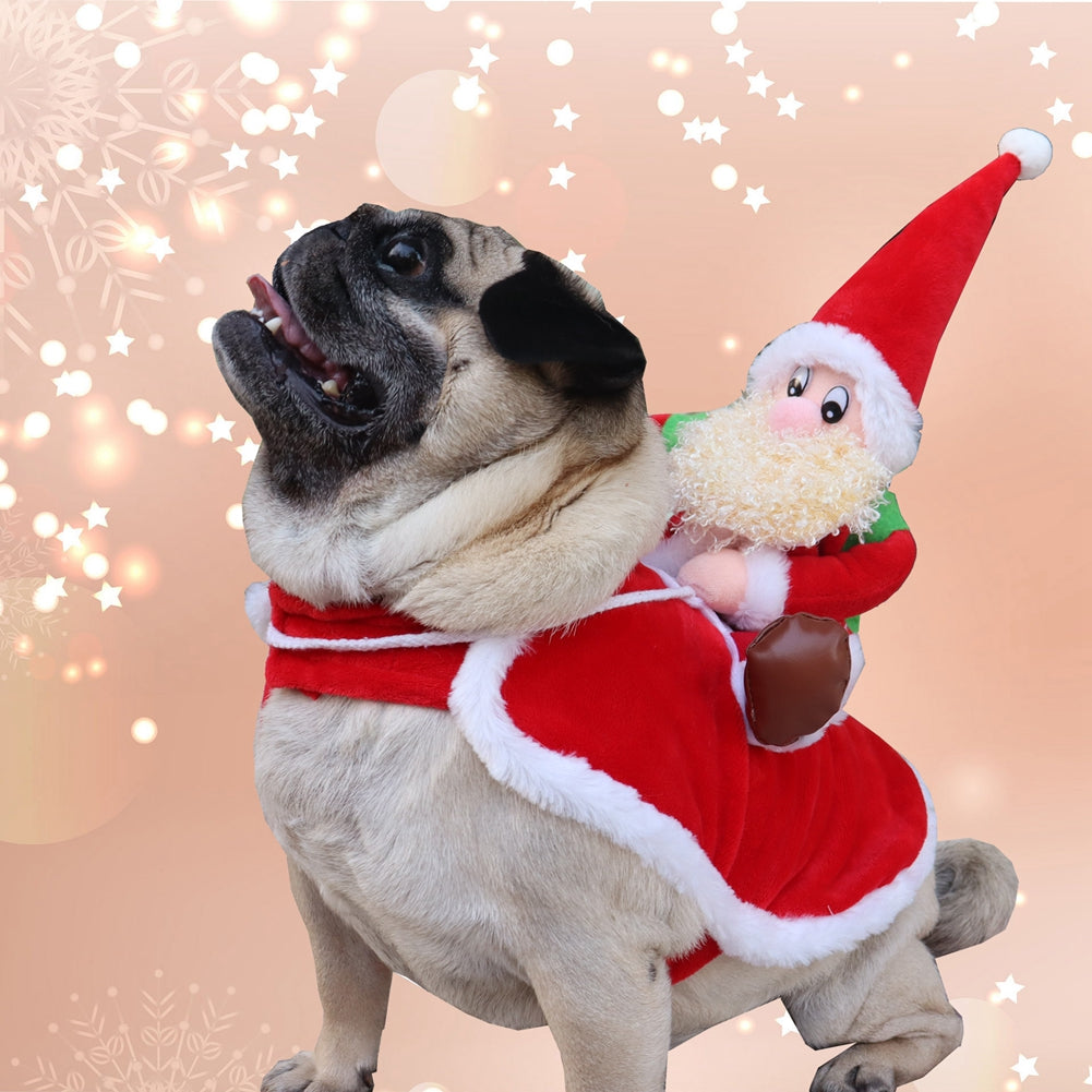 Traje Navideño Pet Glam. Combo Traje de Navidad - Zapatos.