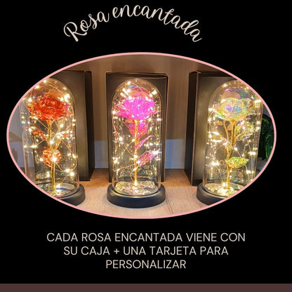 ROSA BRILLANTE ENCANTADA