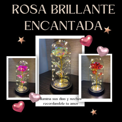 ROSA BRILLANTE ENCANTADA