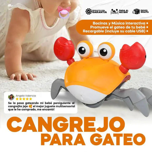 CANGREJO PARA GATEO