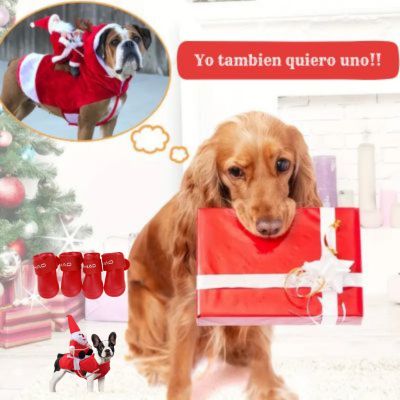 Traje Navideño Pet Glam. Combo Traje de Navidad - Zapatos.
